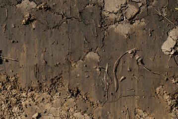 Cracked, dry mud texture. Detailed surface of land for bakcground purposes. 
