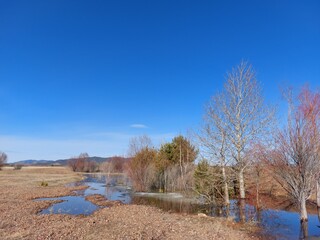 Spring Flood Area Melting Ice and Snow. Reflection of Bare Trees and Clear Blue Sky in Water
