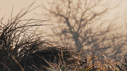 sunset in the grass © Marcin