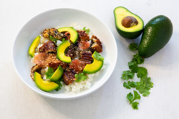 Grilled eel and avocado with rice