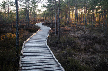 Wooden footpath in Kalnansu swamp, Kabile, Latvia