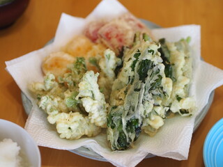 山菜のてんぷら