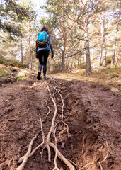 Obraz premium A person walked on a path.