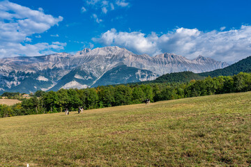 Landscape at Saint Baudille et Pipet, Trieves in Vercors, French Alps, France