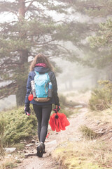 A person walked on a path.