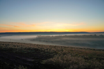 Sunrise over a field of grain on a foggy spring day. Rural landscape, countryside at dawn