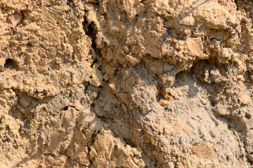 The texture of the cut of the earth with a high content of clay