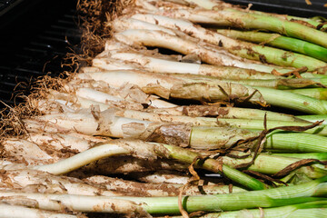 Calçots a la brasa típicos de Cataluña. Barbacoa en primavera
