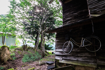 満開のジキタリスが咲く廃村、ここはどこだろうか？