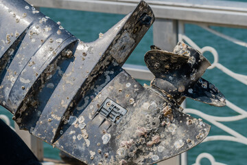 Outboard engine covered with barnacles.