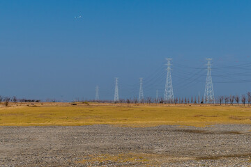 Electrical power towers at edge of open field