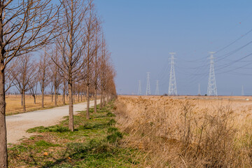 Obraz premium Hiking trail between rows of leafless trees
