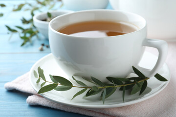 Cup of aromatic eucalyptus tea on light blue wooden table, closeup