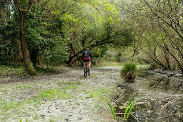 middle-aged man mountain biking in a wonderful setting