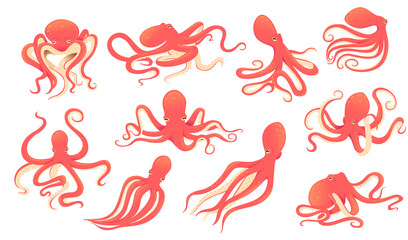 Set of red adult octopus underwater ocean animal cartoon animal design vector illustration on white background © Alfmaler