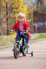 Little child, blond boy, learning how to ride a bicycle in the park using helping wheels on the side