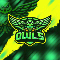 Owls mascot logo design illustration