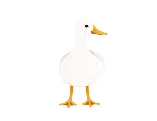 Cute duck white flying goose cartoon animal design vector illustration on white background