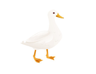 Cute duck white flying goose cartoon animal design vector illustration on white background