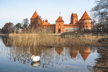 Naklejka na ściany i meble Medieval castle of Trakai, Vilnius, Lithuania, Eastern Europe, located between beautiful lakes and nature with swan sleeping among reeds