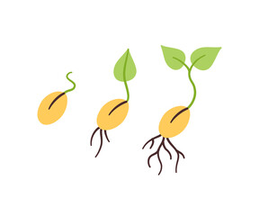 Seeds and seedlings. Germination of sprouts in doodle style. Hand drawn isolated vector illustration on white background