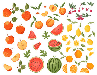 Big collection of fresh raw fruits apple watermelon orange lemon cherry and peach vector illustration on white background