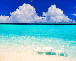 パラオの美しいサンゴ礁の海