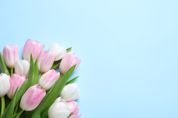 Beautiful pink spring tulips on light blue background, flat lay. Space for text