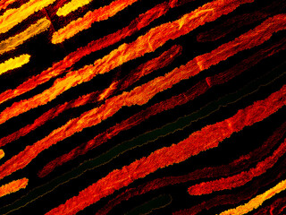Brush Stripe. Abstract Happy New Year. Bright