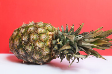 A whole pineapple lies on a white surface against a red background, close-up, side view. Ripe, fresh fruit. Pineapple with peel and long bushy tail. Vitamins. Benefit. Healthy eating. Exotic fruit.