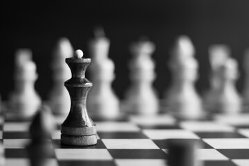 black chess queen on a background of white pieces on a chessboard, black and white photo, selective focus