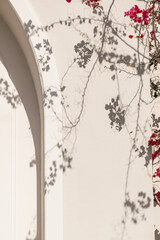 Red flower plant branches and sunlight shadow on neutral beige wall. Aesthetic floral shadow...