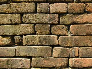 Old red brick wall texture background with moss and dirt