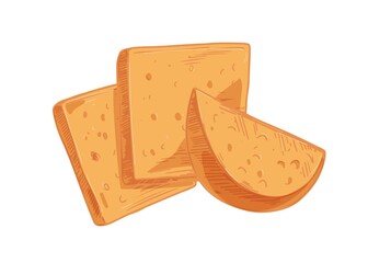 Swiss cheese slices with holes isolated on white background. Composition with cheeze pieces. Hand-drawn vector illustration of holland milk chees