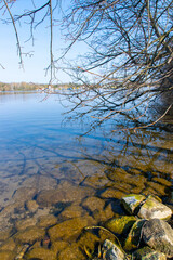 tree in the water (Stienitzsee, Brandenburg, germany)