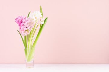 Gentle romantic spring flowers hyacinth in glass vase on white wood table and pink wall, copy space.