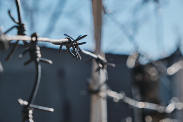 Barbed wire. Barbed wire on a fence with a blue sky, close-up