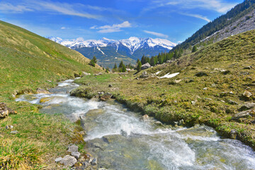 stream flowing in a meadow with mountain range covered with snow
