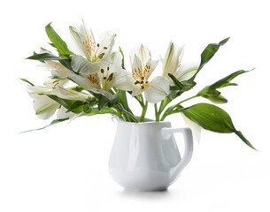 A small delicate bouquet of white alstroemeria in a white porcelain milkman isolated on a white background. Bouquet for decorating the dining table.