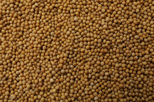 Mustard seeds on whole background, close up