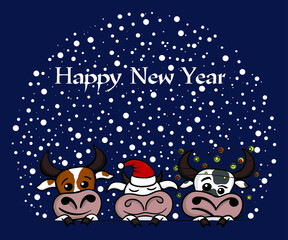 Merry Christmas cows and bull. Symbol of new year 2021 and 2033