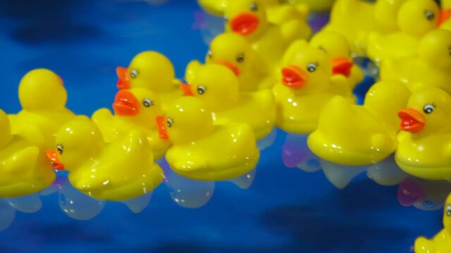Yellow rubber ducklings in street attraction for children