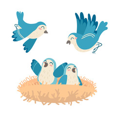 Blue birds feed their children in the nest. Vector flat illustration in cartoon style. Isolated clip art. Happy family bird concept.