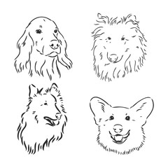 Silhouette simple head dog. Vector illustration. portrait of a dog, vector sketch illustration