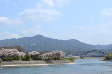 瀬田川洗堰の下流の風景