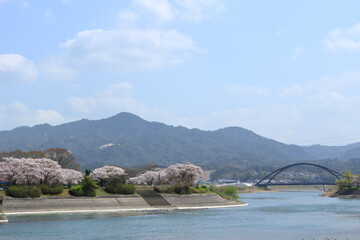 Naklejka premium 瀬田川洗堰の下流の風景