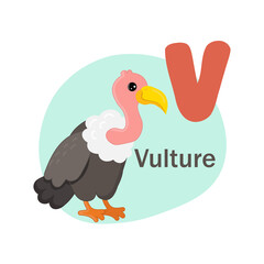 Animals alphabet. Cute vulture isolated on white background. Vector illustration for teaching children learning a foreign language. Letter v