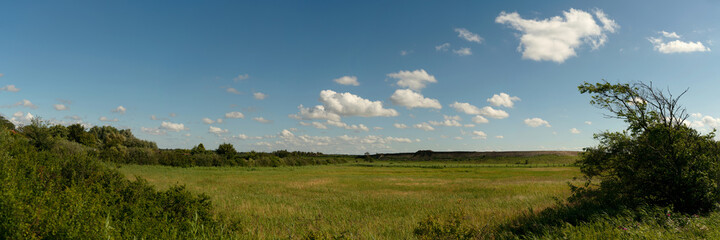 Green meadow and blue sky landscape panorama