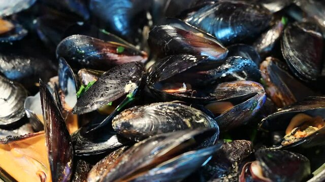 Close up shot of an open mussel held by a hand. In the background, the pot where they are cooking: you can see the steam rising and the cooking broth boiling. Mediterranean cuisine.
