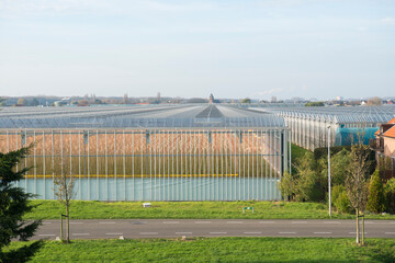 View on a greenhouse in gemeente Het Westland in the Netherlands